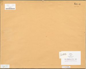 CAROL RAMA : senza titolo  - Asta Asta di Arte Moderna e Contemporanea - Associazione Nazionale - Case d'Asta italiane