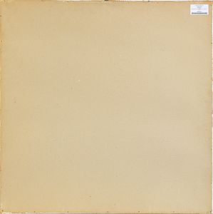 ALBERTO  BIASI : Dinamica visiva S6  - Asta Asta di Arte Moderna e Contemporanea - Associazione Nazionale - Case d'Asta italiane