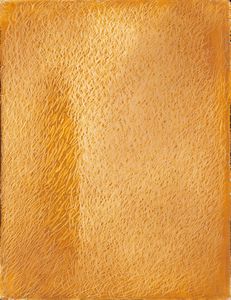 MARIO DELUIGI - Grattage