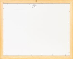 FABRIZIO PLESSI : Progetto per video installazione  - Asta Asta di Arte Moderna e Contemporanea - Associazione Nazionale - Case d'Asta italiane