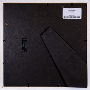 NOBUYOSHI  ARAKI : senza titolo  - Asta Asta di Arte Moderna e Contemporanea - Associazione Nazionale - Case d'Asta italiane