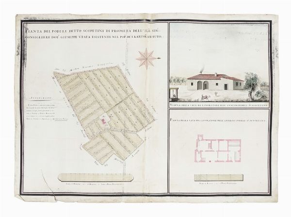 Pianta del podere detto Scopetini di propriet dell'Ill:mo Sig.r Consigliere Dot:re Giuseppe Vespa esistente nel Pop:lo di S. Bartol:mo in Tuto.  - Asta Arte Antica, Moderna e Contemporanea [parte I] - Associazione Nazionale - Case d'Asta italiane