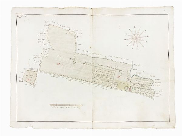 DOMENICO MARIA VIAGGI : Regesto e dieci cabrei della tenuta detta La Cagnona del Marchese Scipione Capponi nel comprensorio savignanese.  - Asta Arte Antica, Moderna e Contemporanea [parte I] - Associazione Nazionale - Case d'Asta italiane