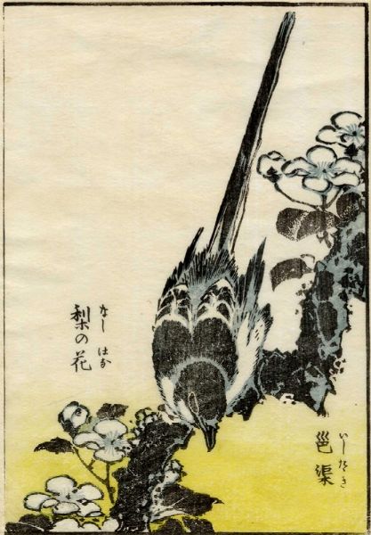 KATSUSHIKA HOKUSAI : Uccellino su ramo fiorito.  - Asta Arte Antica, Moderna e Contemporanea [parte I] - Associazione Nazionale - Case d'Asta italiane