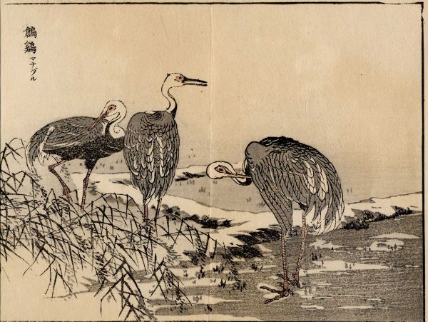 KATSUSHIKA HOKUSAI : Uccellino su ramo fiorito.  - Asta Arte Antica, Moderna e Contemporanea [parte I] - Associazione Nazionale - Case d'Asta italiane