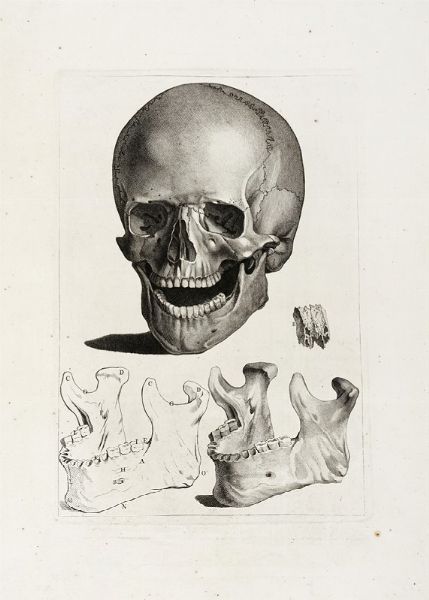 JACQUES GAMELIN : Sei tavole da Nouveau Recueil d'Ostologie et de Myologie, dessin d'aprs nature par Jacques Gamelin de Carcassonne, Professeur de Peinture, de l'Acadmie de Saint Luc de Rome, pour l'utilit des sciences et des arts,...  - Asta Arte Antica, Moderna e Contemporanea [parte I] - Associazione Nazionale - Case d'Asta italiane