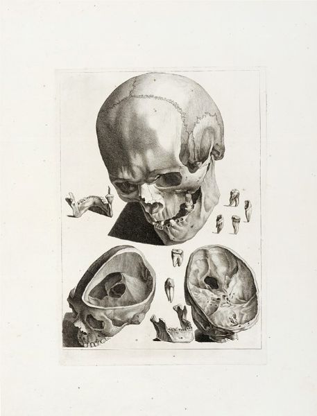 JACQUES GAMELIN : Sei tavole da Nouveau Recueil d'Ostologie et de Myologie, dessin d'aprs nature par Jacques Gamelin de Carcassonne, Professeur de Peinture, de l'Acadmie de Saint Luc de Rome, pour l'utilit des sciences et des arts,...  - Asta Arte Antica, Moderna e Contemporanea [parte I] - Associazione Nazionale - Case d'Asta italiane