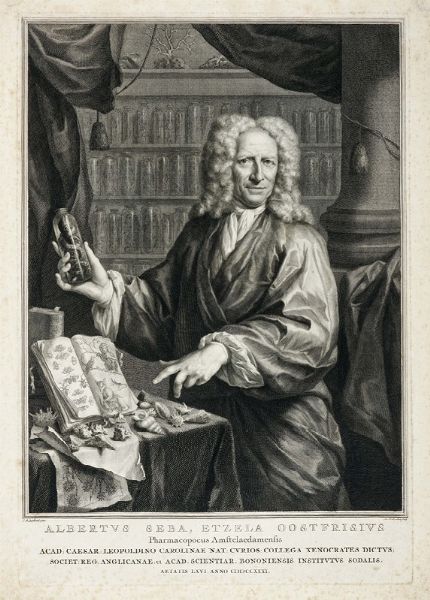 JACOBUS HOUBRAKEN : Albertus Seba, Etzela Oostfrisius Pharmacopoeus Amstelodamensis.  - Asta Arte Antica, Moderna e Contemporanea [parte I] - Associazione Nazionale - Case d'Asta italiane