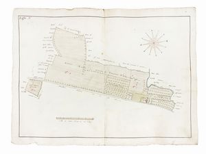DOMENICO MARIA VIAGGI : Regesto e dieci cabrei della tenuta detta La Cagnona del Marchese Scipione Capponi nel comprensorio savignanese.  - Asta Arte Antica, Moderna e Contemporanea [parte I] - Associazione Nazionale - Case d'Asta italiane