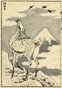 KATSUSHIKA HOKUSAI - Chikurin no Fuji (il Fuji dal canneto).