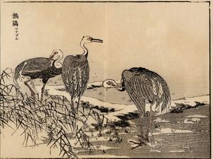 KATSUSHIKA HOKUSAI : Uccellino su ramo fiorito.  - Asta Arte Antica, Moderna e Contemporanea [parte I] - Associazione Nazionale - Case d'Asta italiane