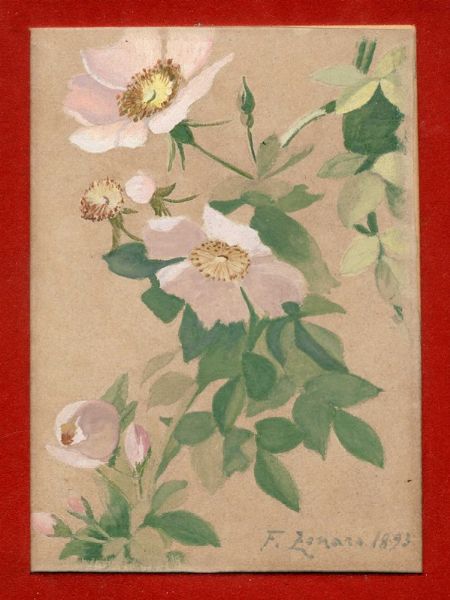 Fausto Zonaro : Fiori.  - Asta Arte Antica, Moderna e Contemporanea [parte II] - Associazione Nazionale - Case d'Asta italiane