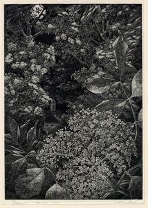 WILHELM HEISE - Hollunder (Sambuco).