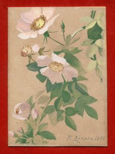 Fausto Zonaro - Fiori.