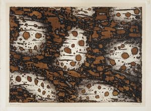 Antonio Zoran Music - Terres Adriatiques.