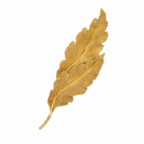 Mario Buccellati spilla foglia  - Asta Gioielli e Orologi - Associazione Nazionale - Case d'Asta italiane