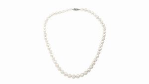 MIKIMOTO - Lunghezza cm 40 Girocollo composto da un filo di perle giapponesi Mikimoto del diam di mm 7 e 7 5. Chiusura in  [..]