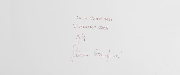 Camporesi Silvia : L'Iniziato, 2005  - Asta Fotografia - Associazione Nazionale - Case d'Asta italiane