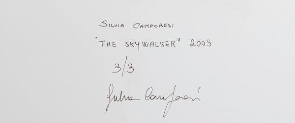 Camporesi Silvia : The Skywalker, 2005  - Asta Fotografia - Associazione Nazionale - Case d'Asta italiane