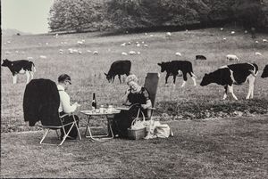 Jones Ray - Pic nic Glyndebourne, 1967