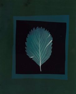Migliori Nino - Da Herbarium, 1974