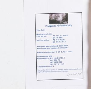 Kiarostami Abbas : Rain series n.7, 2007-2008  - Asta Fotografia - Associazione Nazionale - Case d'Asta italiane