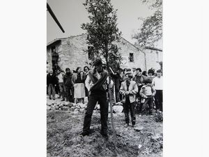 JOSEPH BEUYS - Joseph Beuys, l'artista pianta la quercia - Piantagione Paradise in Bolognano Pescara 1984
