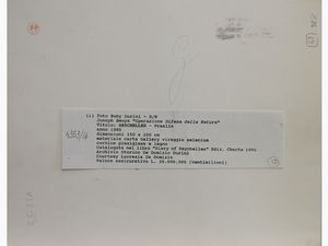 JOSEPH BEUYS : Operazione Difesa della Natura - Praslin Seychelles 1980  - Asta Arte moderna e contemporanea / Arredi, Argenti e Dipinti Antichi - Associazione Nazionale - Case d'Asta italiane