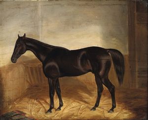 Herring John Frederick : Horse in a stable  - Asta Antiquariato - Associazione Nazionale - Case d'Asta italiane