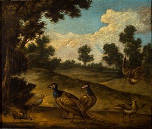 BOEL PIETER (Ambito di) 1622-1674 - Fagiani e pavoni