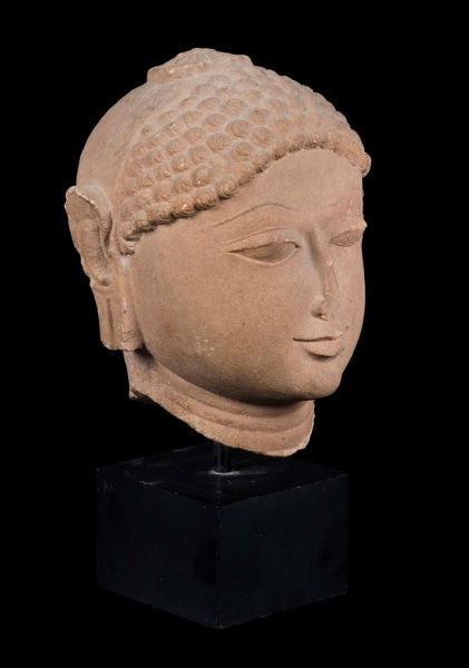 Testa di Buddha in pietra, Rajasthan, XIII secolo  - Asta Fine Chinese Works of Art - Associazione Nazionale - Case d'Asta italiane