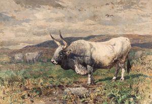 Enrico Coleman<br>Roma, 1846 - 1911 - Toro nelle campagne romane, 1876