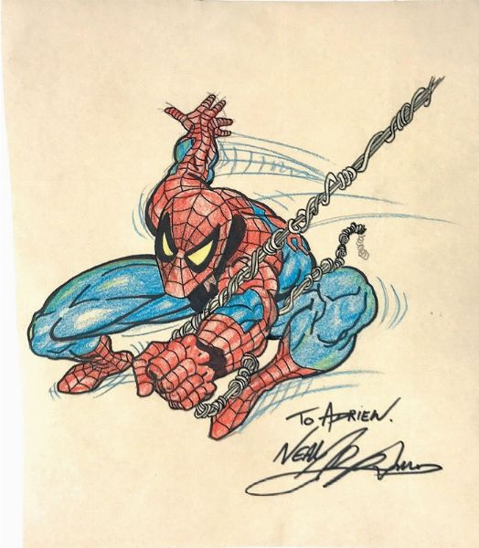 Adams Neal : Spiderman  - Asta I Maestri del Fumetto e dell'Illustrazione - Associazione Nazionale - Case d'Asta italiane