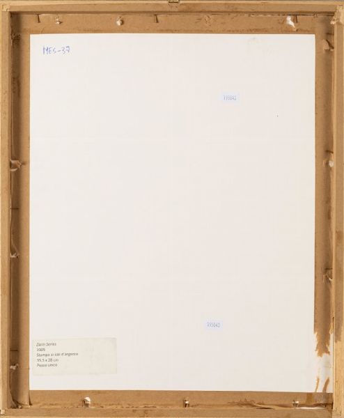 Neshat Shirin : Zarin Series, 2005  - Asta Fotografia - Associazione Nazionale - Case d'Asta italiane