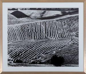 GIACOMELLI MARIO : Presa coscienza della natura, 1977  - Asta Fotografia - Associazione Nazionale - Case d'Asta italiane