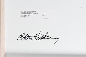 Niedermayr Walter : Gronilhaugen n. 5, 2007 (Dittico)  - Asta Fotografia - Associazione Nazionale - Case d'Asta italiane