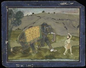 Arte Indiana - 'Miniatura raffigurante elefante e mahout India Settentrionale, inizio XX secolo '