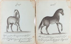Arte Islamica - 'Coppia di fogli  tratti dal Faras-na?ma (Il libro dei cavalli)Impero Ottomano, XIX secolo '
