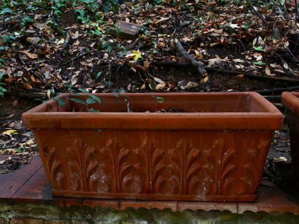 Due vasi a cassetta da giardino  - Asta House sale: Arte e Design da villa 