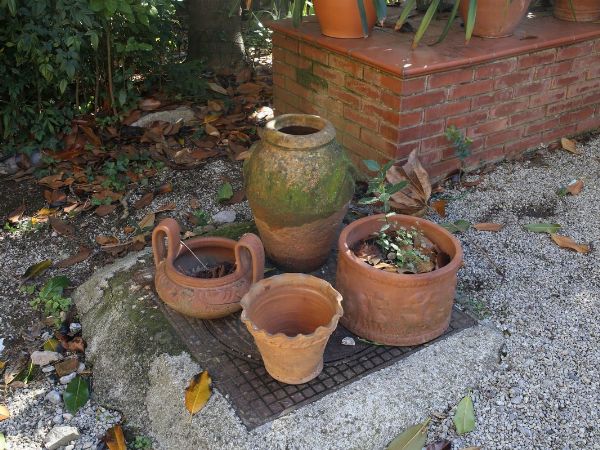 Lotto di oggetti da giardino in terracotta  - Asta House sale: Arte e Design da villa 