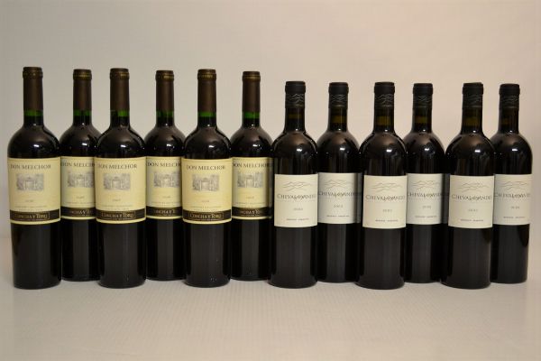 Selezione Sud America  - Asta Una Prestigiosa Selezione di Vini e Distillati da Collezioni Private - Associazione Nazionale - Case d'Asta italiane