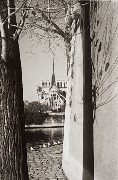 Andr Kertsz : Paris, Notre Dame  - Asta Fotografia - Associazione Nazionale - Case d'Asta italiane