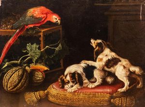 Seguace di Giovanni Paolo Castelli, detto lo Spadino - Natura morta con due cani e un pappagallo