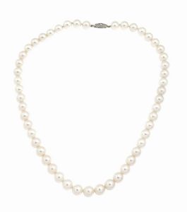 MIKIMOTO - Lunghezza cm 41 Girocollo composto da un filo di perle giapponesi Mikimoto del diam 8 e 8 5. Chiusura in argen [..]