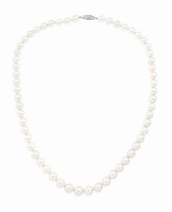 GIROCOLLO - Lunghezza cm 40 composto da un filo di perle giapponesi del diam 7 e 7 5 ca. Chiusura in argento