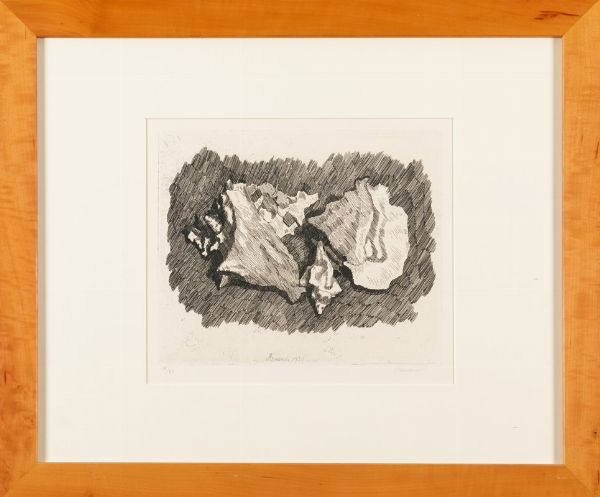 MORANDI GIORGIO : Natura morta con conchiglie, 1930  - Asta Arte Moderna e Contemporanea - Associazione Nazionale - Case d'Asta italiane