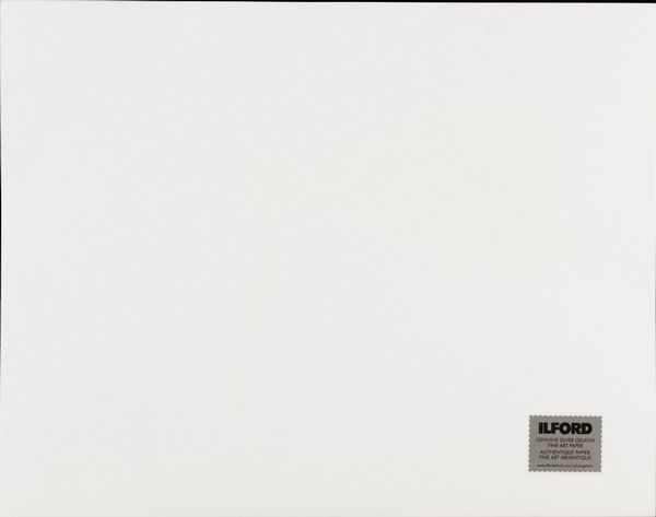 FRENCH JARED (1905 - 1988) : Fotografia tratta dalla serie ''Studio di nudo Tennessee Williams''.  - Asta ASTA 282 - ARTE MODERNA E CONTEMPORANEA (online) - Associazione Nazionale - Case d'Asta italiane