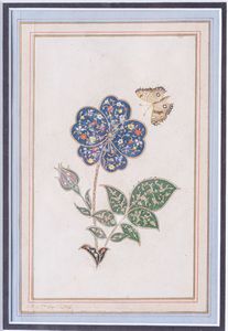 Arte Islamica - Dipinto raffigurante lo studio di un fiore  Persia, XVII secolo