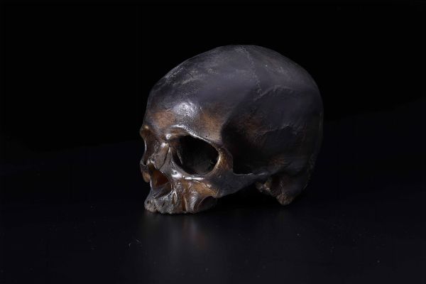 Cranio in cera, XX-XXI secolo  - Asta Out of the Ordinary - Associazione Nazionale - Case d'Asta italiane