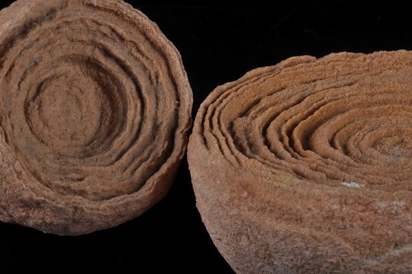 Coppia di stromatoliti  - Asta Mirabilia - Natural History - Associazione Nazionale - Case d'Asta italiane